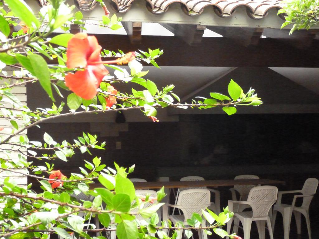 Hostel De Los Artistas Mendoza Dış mekan fotoğraf