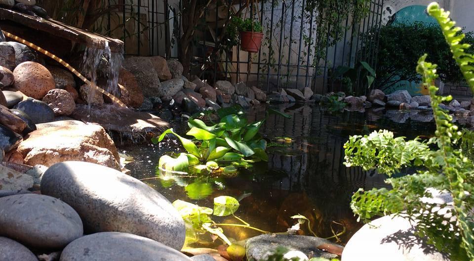 Hostel De Los Artistas Mendoza Dış mekan fotoğraf
